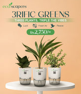 3RIFIC COMBO DEAL